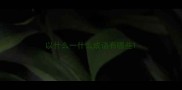 以什么一什么成语有哪些