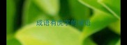 成语有虎字的成语