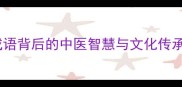 杏林春暖成语背后的中医智慧与文化传承附详细