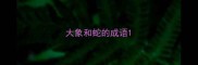 大象和蛇的成语