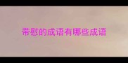带慰的成语有哪些成语