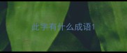此字有什么成语