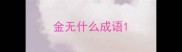 金无什么成语
