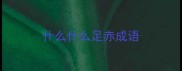 什么什么足赤成语