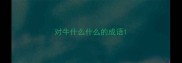 对牛什么什么的成语