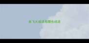 舍飞火成语有哪些成语