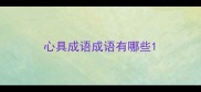 心具成语成语有哪些