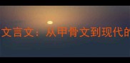 四字成语的文言文从甲骨文到现代的千年智慧