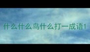 什么什么鸟什么打一成语