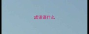 成语语什么