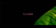 孔之见成语