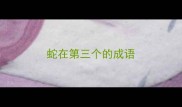 蛇在第三个的成语