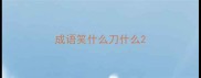 成语笑什么刀什么