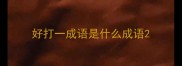 好打一成语是什么成语