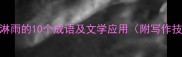形容淋雨的10个成语及文学应用附写作技巧