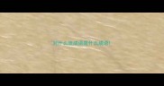 对什么流成语是什么成语
