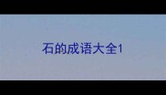 石的成语大全