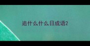 追什么什么日成语