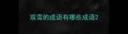 双雪的成语有哪些成语