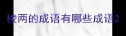 棱两的成语有哪些成语