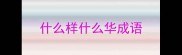 什么样什么华成语