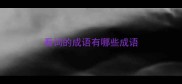 看词的成语有哪些成语