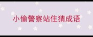 小偷警察站住猜成语