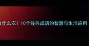 什么食什么衣10个经典成语的智慧与生活应用附详细