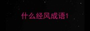什么经风成语