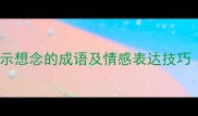 10个最常用的表示想念的成语及情感表达技巧附经典示例