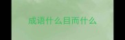 成语什么目而什么