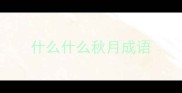 什么什么秋月成语