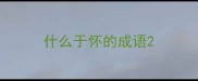 什么于怀的成语