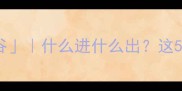 进退失据vs进退维谷什么进什么出这5个成语让你秒变表达高手