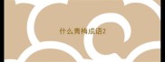 什么青梅成语