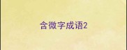 含微字成语