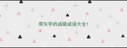 带矢字的成语成语大全