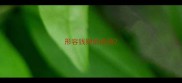 形容钱财的成语