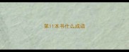 第11本书什么成语