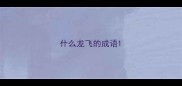 什么龙飞的成语