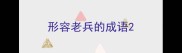形容老兵的成语