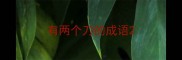 有两个刀的成语