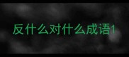 反什么对什么成语