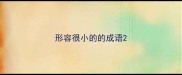 形容很小的的成语