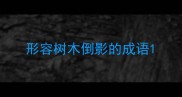 形容树木倒影的成语