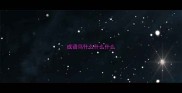 成语鸟什么什么什么