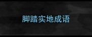 脚踏实地成语