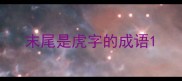 末尾是虎字的成语