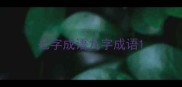 七字成语九字成语