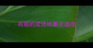有趣的成语故事及道理